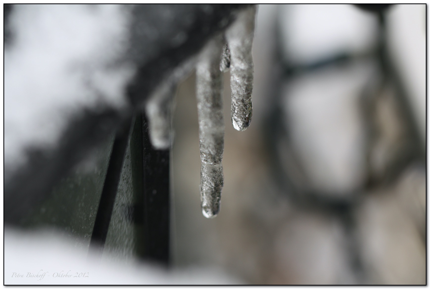 &copy; Petra Bischoff