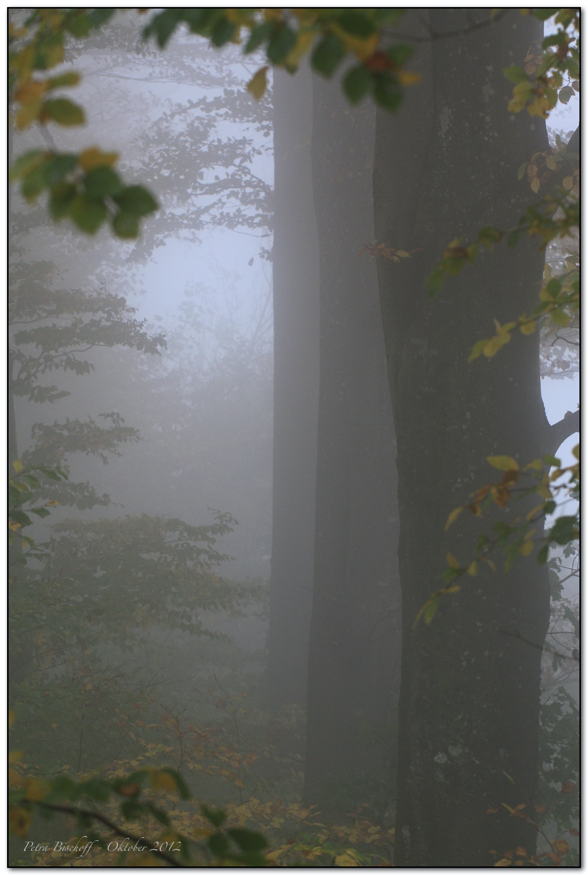 &copy; Petra Bischoff