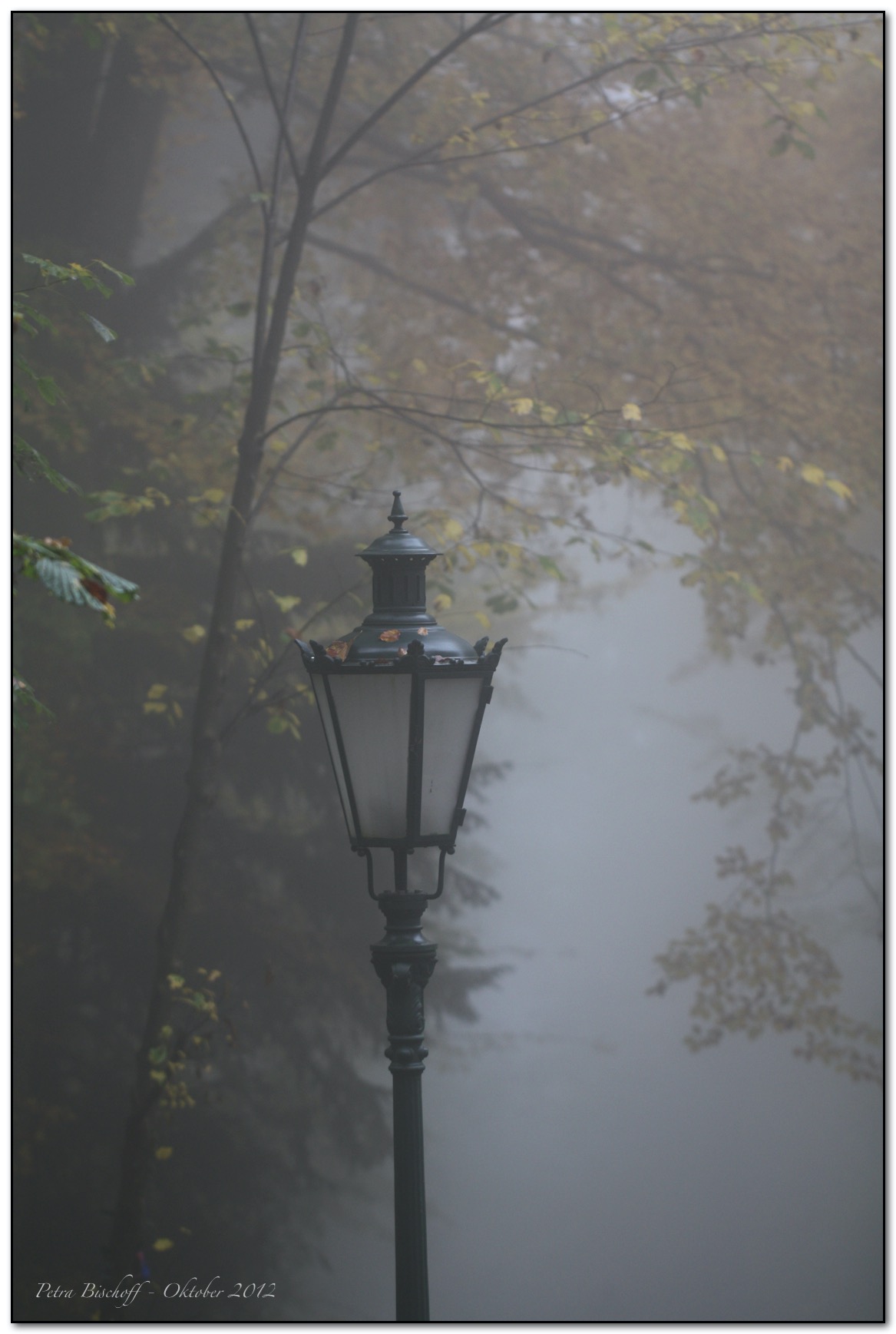 &copy; Petra Bischoff