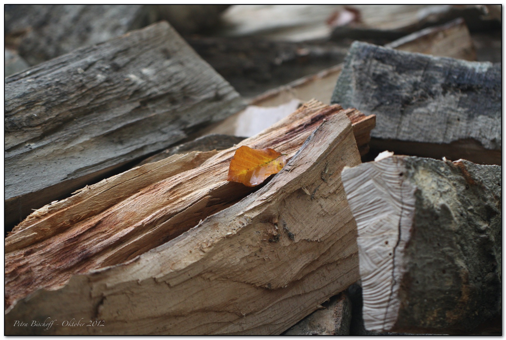 &copy; Petra Bischoff