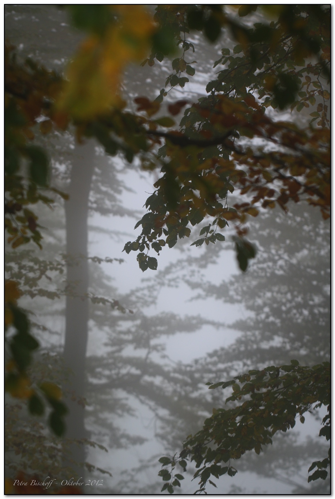 &copy; Petra Bischoff