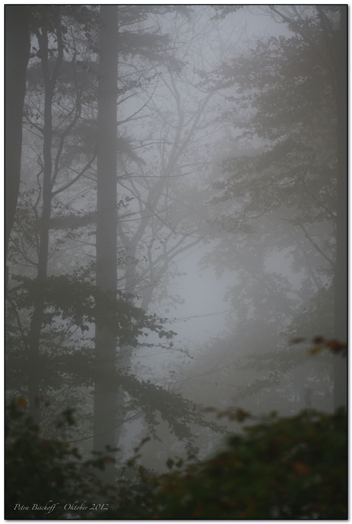 &copy; Petra Bischoff