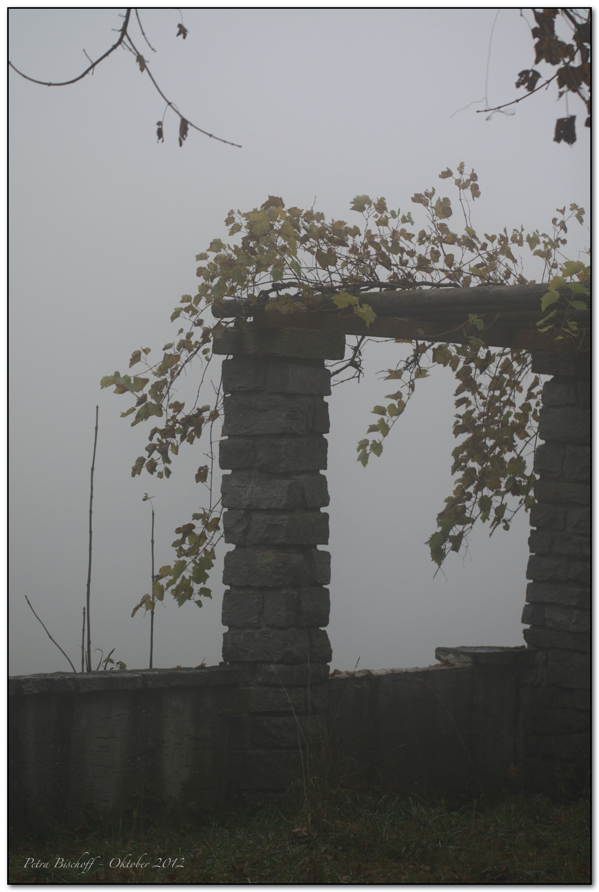 &copy; Petra Bischoff